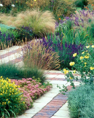 bricks amongst block paving